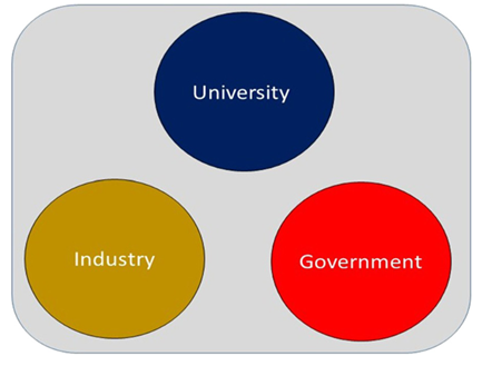 The Triple Helix-I model of university-industry–government relations (in a developing country).