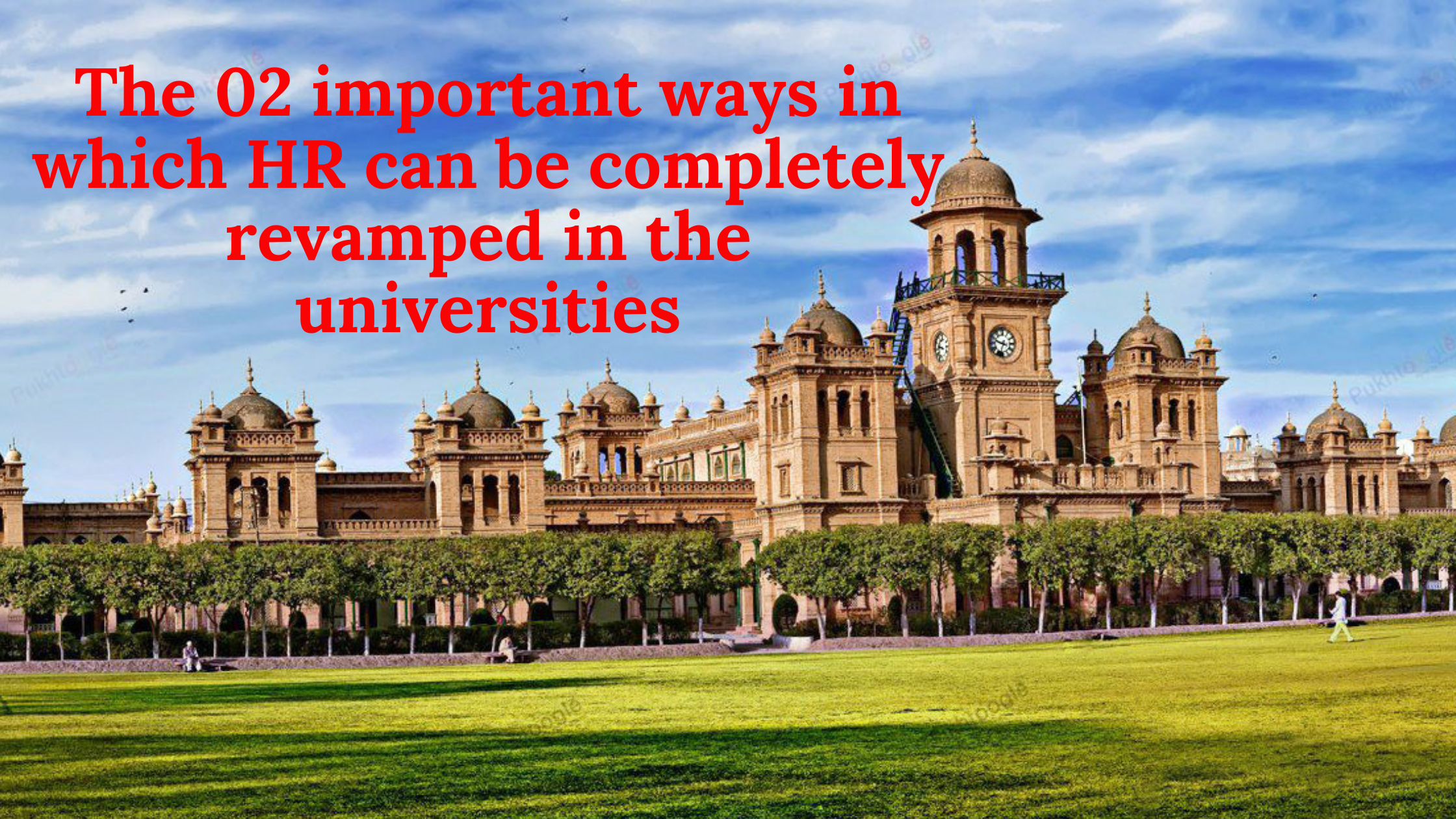 The 02 important ways in which HR can be completely revamped in the universities